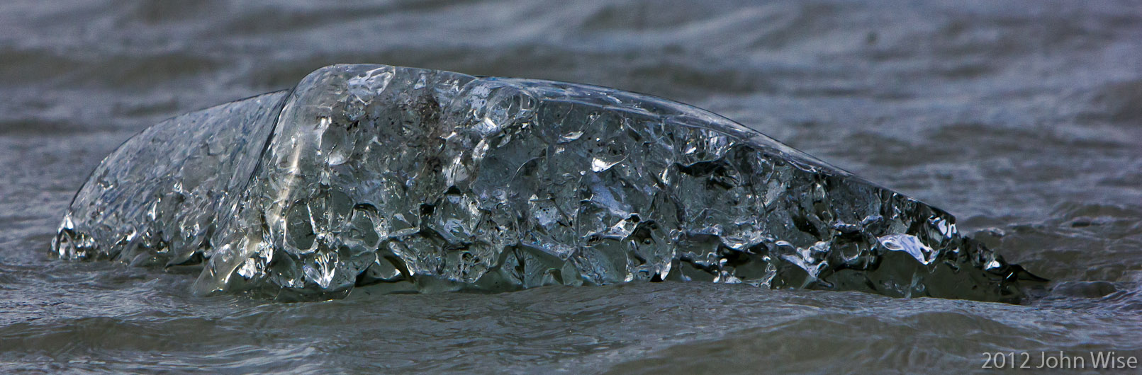 A small clear iceberg. This is old ice from the bottom of the glacier, it is clear due to the pressures that have formed it. Kluane Naitonal Park Yukon, Canada