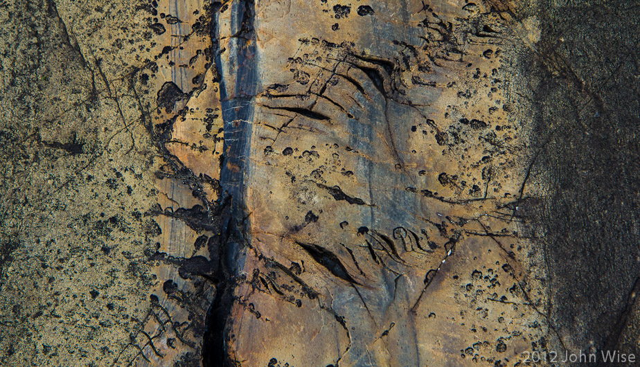 Natures petroglyphs found on a random rock along the Alsek River in the Yukon, Canada
