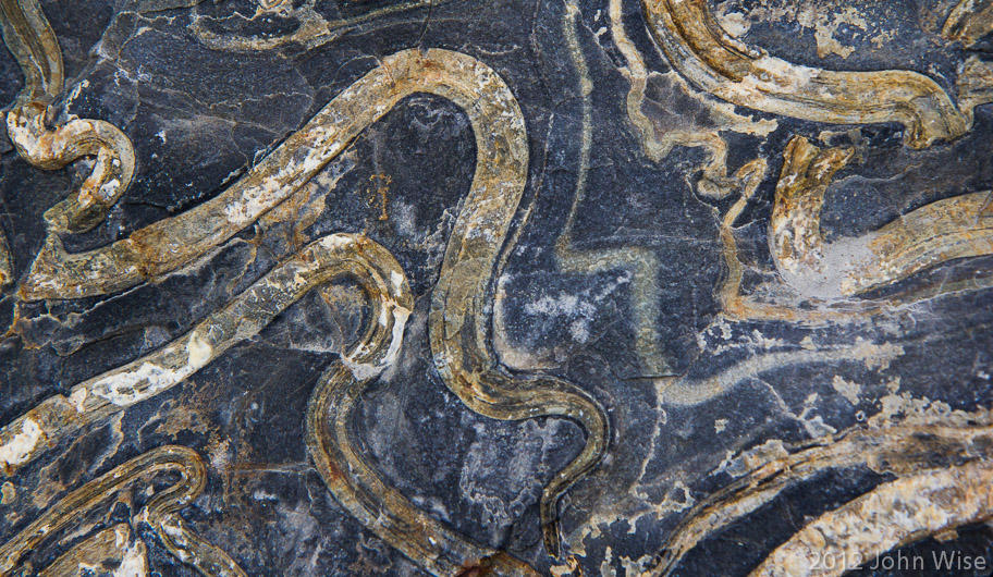 Swirly patterns on rock in Kluane National Park Yukon, Canada